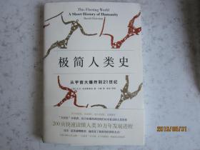 极简人类史 从宇宙大爆炸到21世纪