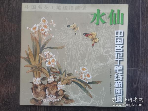 中国名花工笔线描画谱：水仙