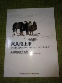 风从漠上来
