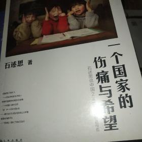 石述思说中国2：一个国家的伤痛与希望：中国各阶层财富报告