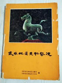 武威地区文物概况   1979年  内容详见实拍图目录