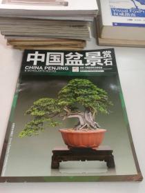中国盆景赏石（2013.10）