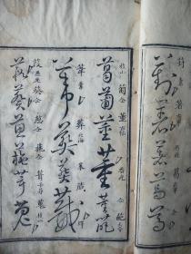 《草字汇》，存寅、卬、申、酉四集，清朝乾隆年木刻板，四集合订两册。
规格26.2*16*2cm