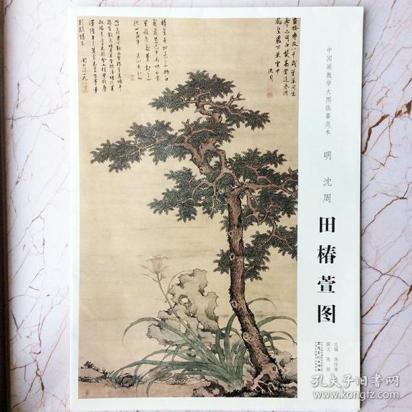 中国画教学大图临摹范本明沈周田椿萱图