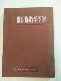 组织胚胎学图谱   精装  1958年  人民卫生出版社出版  蒋加年 著