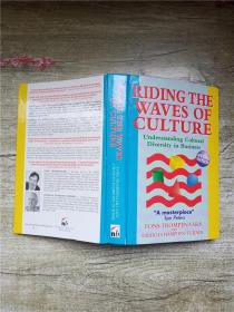 RID ING THE WAVES OF CULTURE SECOND EDITION【精装】【内有泛黄】【正书口泛黄】