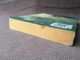 Napoléon: Il sole di Austerlitz / 奥斯特里茨的太阳 （意大利语）