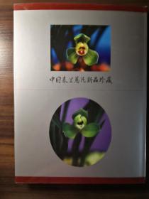 中国春兰蕙花新品珍藏