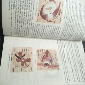 眼科学（第3版）