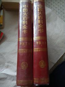 中国大百科全书 （中国文学）两卷全