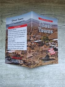 LEVELED Book O Ghost Towns.