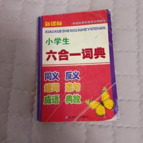 新课标小学生六合一词典