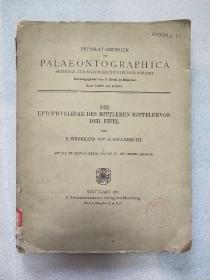 PALAEONTOGRAPHICA （埃非尔中泥盆纪中期史珊瑚化石）8开