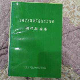 甘肃省民族地区经济社会发展调研报告集