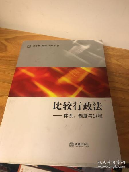 比较行政法：体系、制度与过程