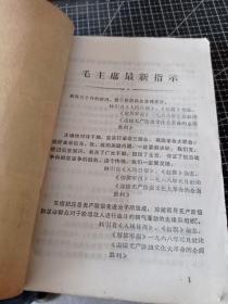 革命委员会好