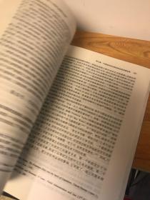 比较行政法：体系、制度与过程