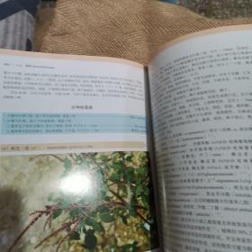 法定药用植物志 华东篇（第1册）