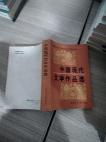 中国现代文学作品选