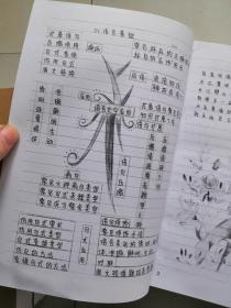 衡水中学 学霸手写笔记 语文