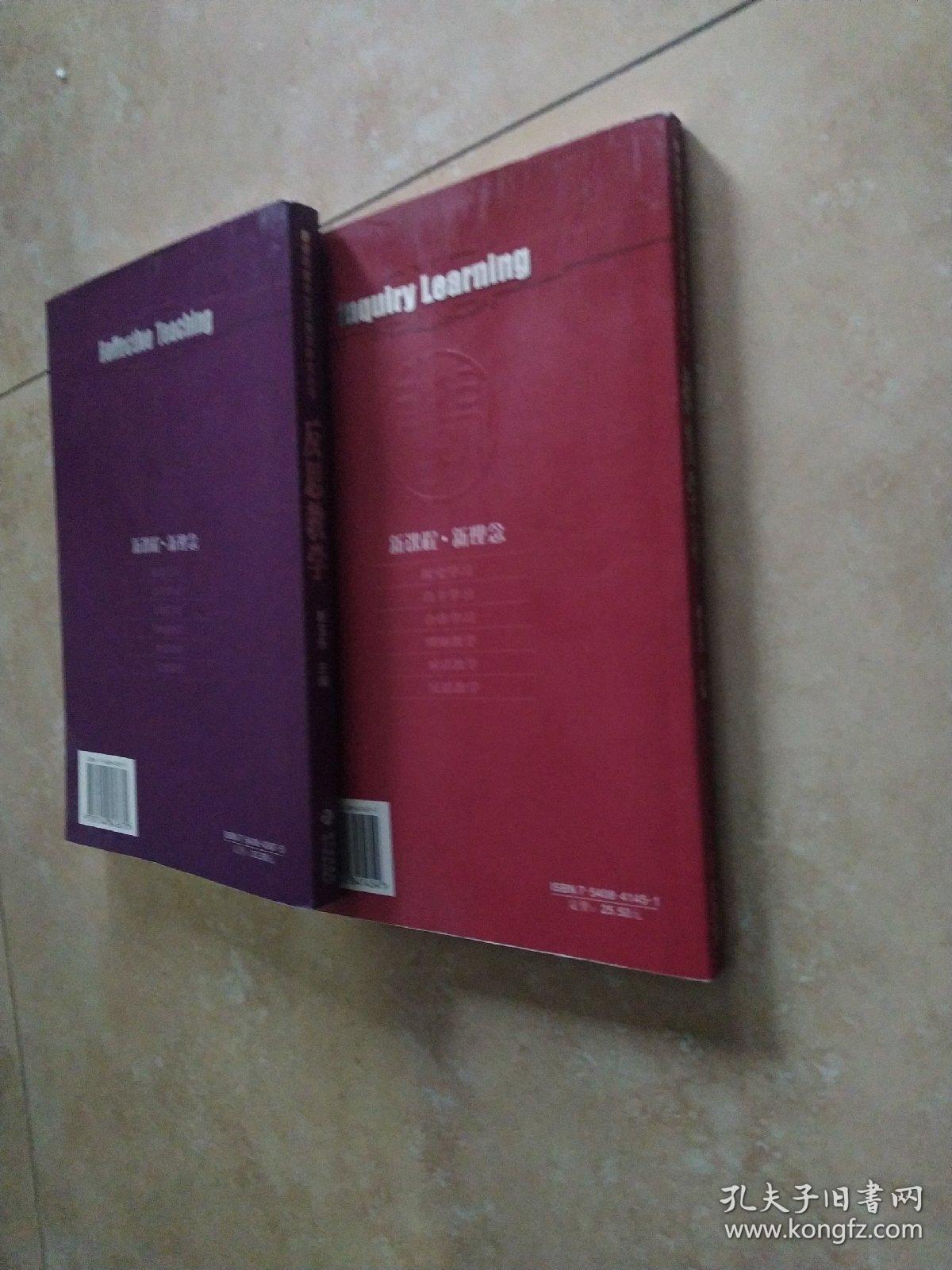 新课程教学方式变革研究丛书：《反思教学》《探究学习》