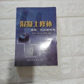 混凝土修补：原理、技术与材料