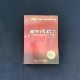 一级注册消防工程师资格考试2019专用教材消防安全技术实务