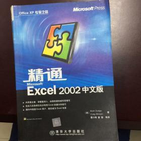 精通Microsoft Excel2002中文版(含盘)