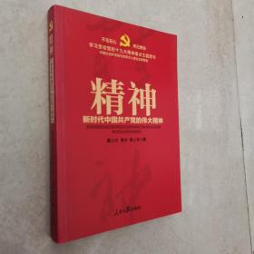 精神：新时代中国共产党的伟大精神