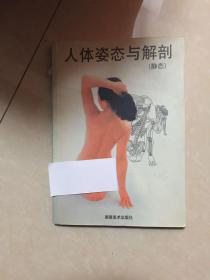 人体姿态与解剖