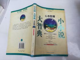 小小说大智典——心存慰藉