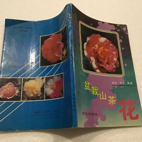 盆栽山茶花（32开）1992年一版一印