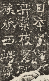 唐梁方及妻张氏墓志铭。大唐梁處士張夫人墓誌銘并序 。安陽 ，唐開元8年。原刻。淸末拓本。拓片尺寸44.7*46厘米。宣纸原色原大仿真微喷复制