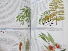 Cronin's Key Guide to Australian Trees