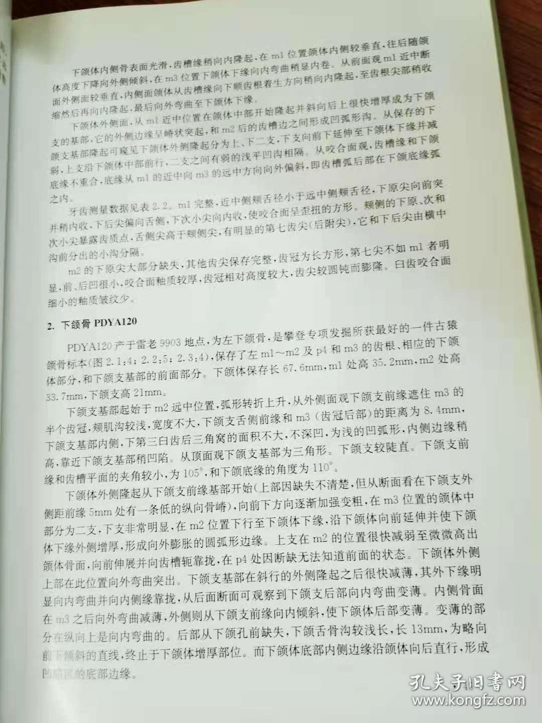 蝴蝶古猿产地研究