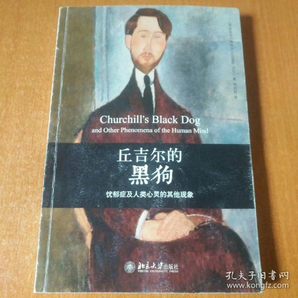 丘吉尔的黑狗：忧郁症及人类心灵的其他现象