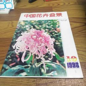 中国花卉盆景1998.10