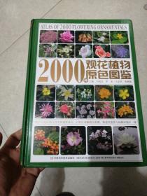 2000种观花植物原色图鉴