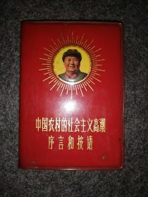 中国农村的社会主义高潮序言和按语 （缺林题）