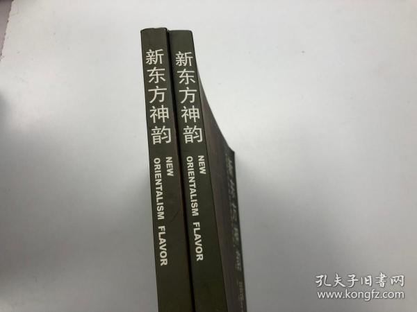 新东方神韵：成标关于休闲空间的创作实践