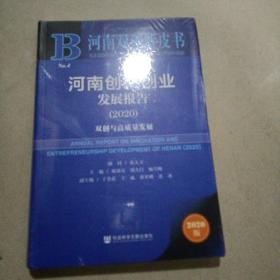 河南创新创业发展报告2020