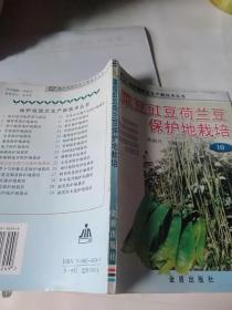 菜豆豇豆荷兰豆保护地栽培——保护地园艺生产新技术丛书