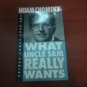 What Uncle Sam Really Wants (the Real Story Series)    by  Noam  Chomsky  （乔姆斯基）