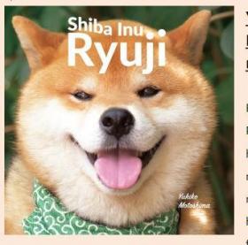 Shiba Inu Ryuji柴犬隆二 柴犬的生活方式摄影作品集治愈系礼物艺术摄影书籍