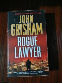 Rogue Lawyer  A Novel