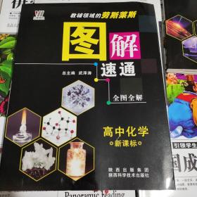 图解速通：高中化学（新课标）