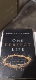 ONE PERFECT LIFE