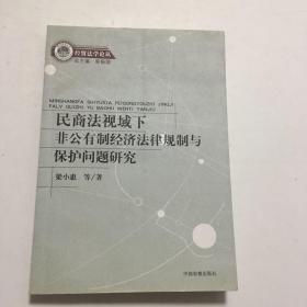 民商法视域下非公有制经济法律规制与保护问题研究