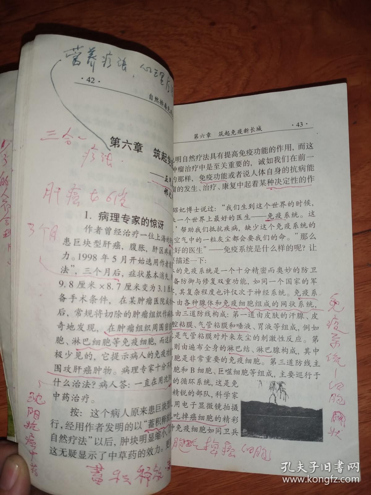 点击查看原图 自然排毒免疫论