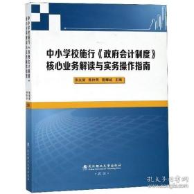 中小学校施行政府会计制度核心业务解读与实务操作指南